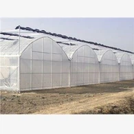 Plastic Film Greenhouse