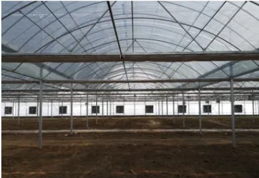 Durable Double-Layer Film Multi-Span Greenhouse With External Shading For Agriculture Seed Breeding/Vegetables/Flowers/Fruits