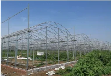 Durable Double-Layer Film Multi-Span Greenhouse With External Shading For Agriculture Seed Breeding/Vegetables/Flowers/Fruits