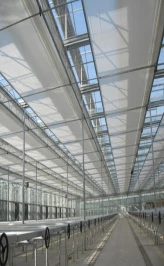 Fixed Roof Window Film Greenhouse