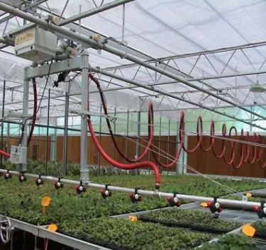 Frame Steel Galvanized Greenhouse With Hydroponics Irrigation System