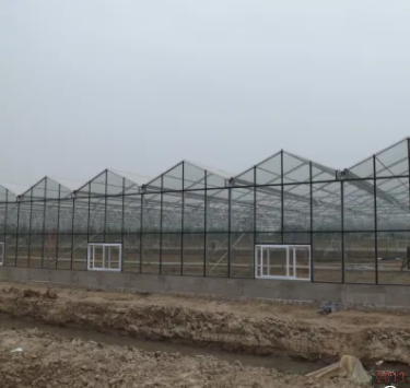 PC Greenhouses Glass Greenhouse Farm With Hydroponics System